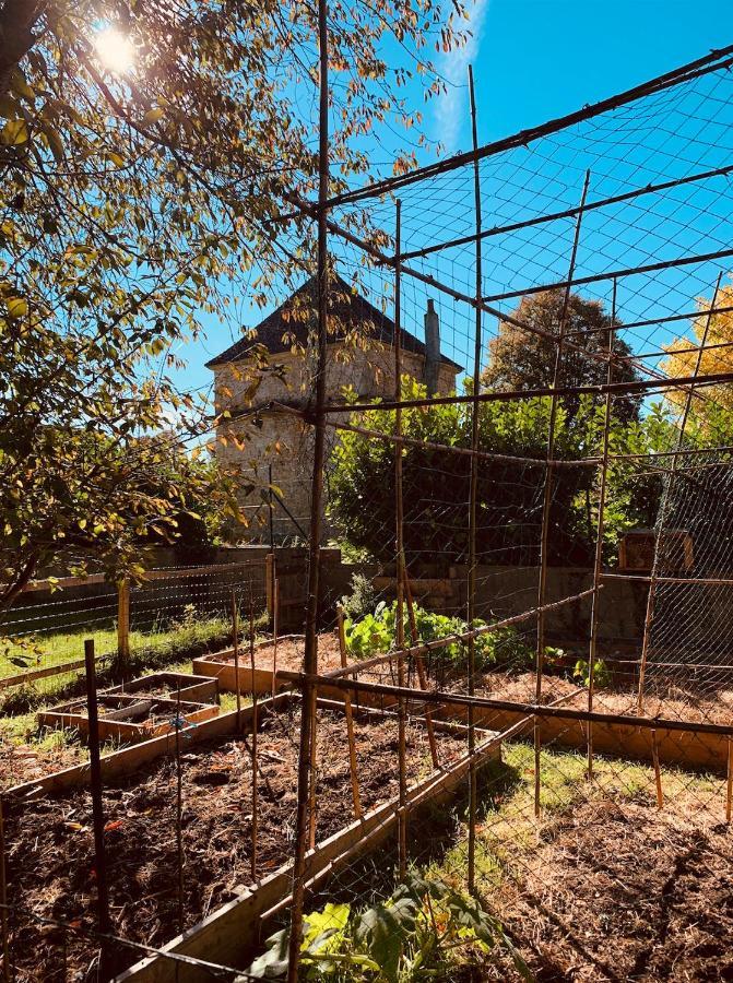 Pool House-L'Hirondelle De Sermizelles- Grand Jardin, Calme Et Nature Aux Portes Du Morvan Экстерьер фото